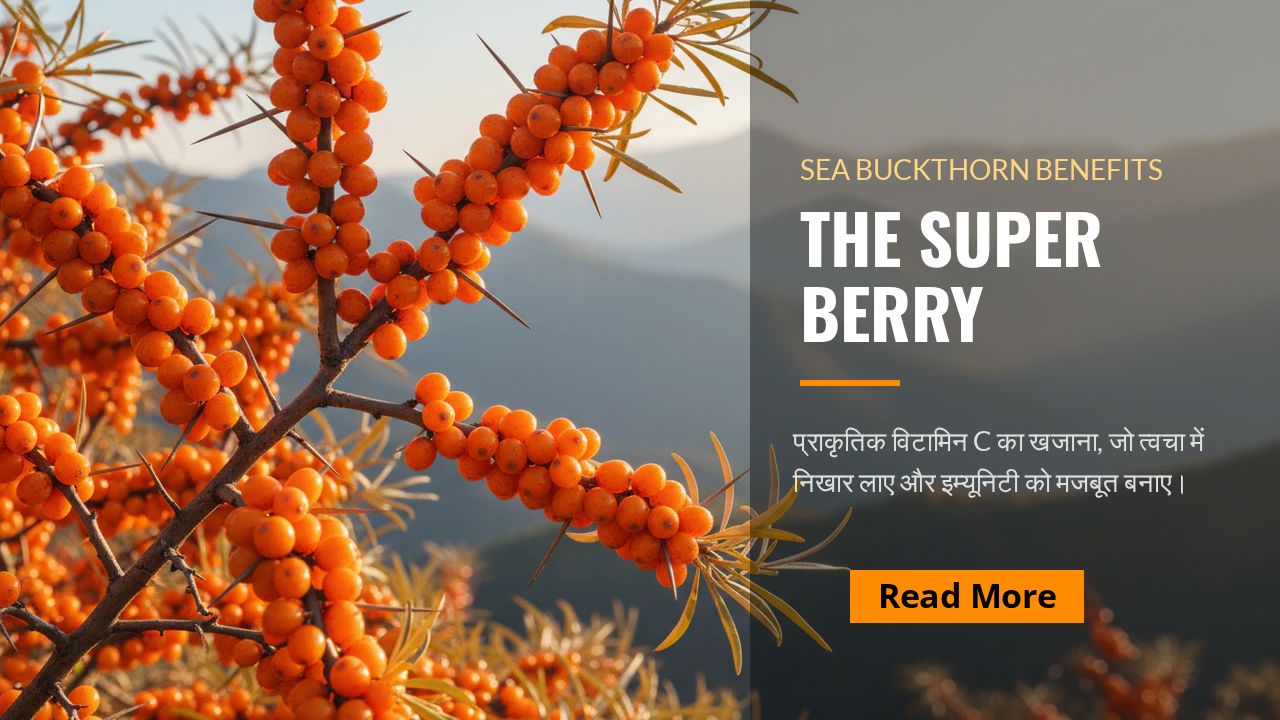 Sea Buckthorn Berries